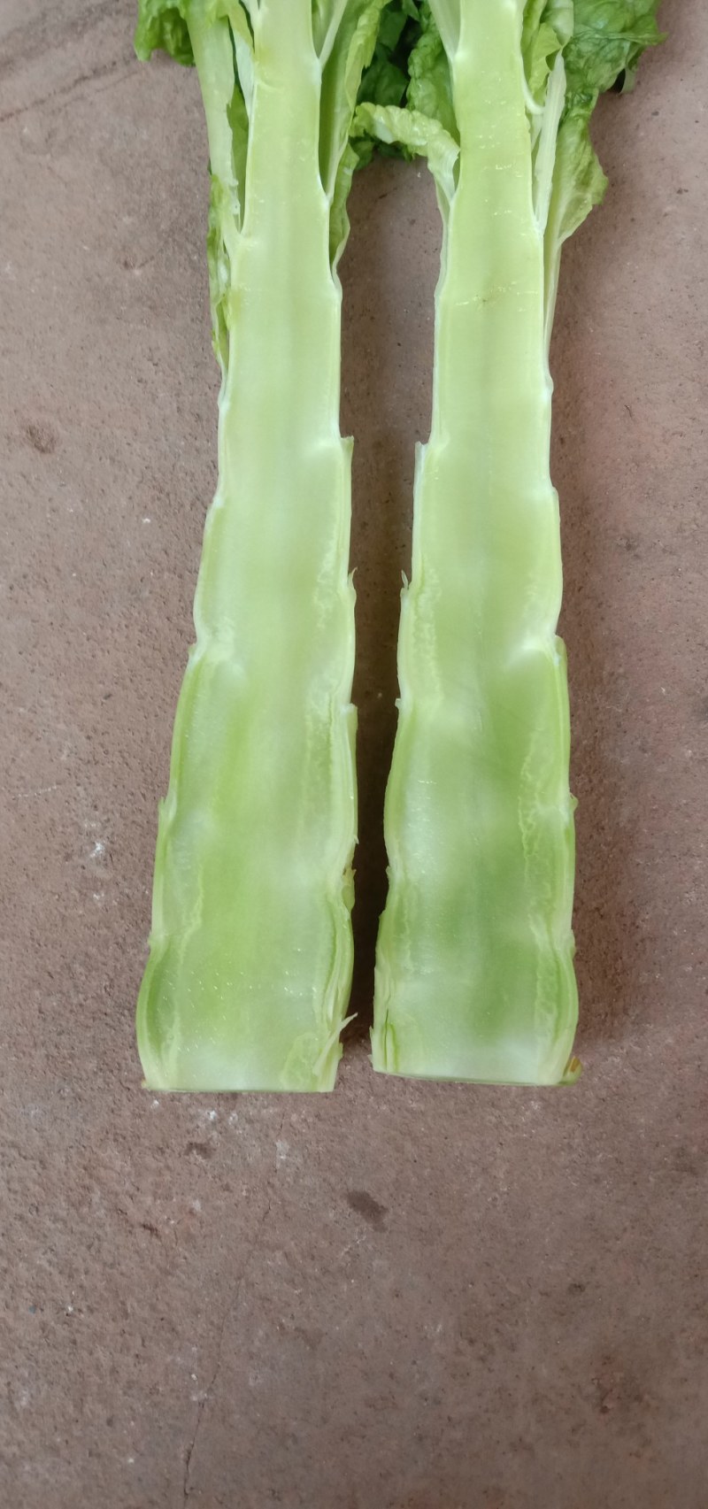 大量出售竹筒青二青莴笋质量好价格价低，货源充足，随时都有