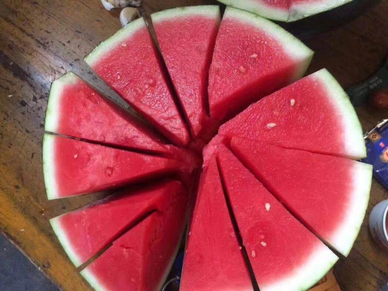 沙驼5号西瓜种子抗病抗裂含糖量高不空心，不阴瓤商品性强