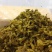 雪菜整箱净重10斤雪里红咸菜腌制酱菜酸菜包子馅菜下饭开胃