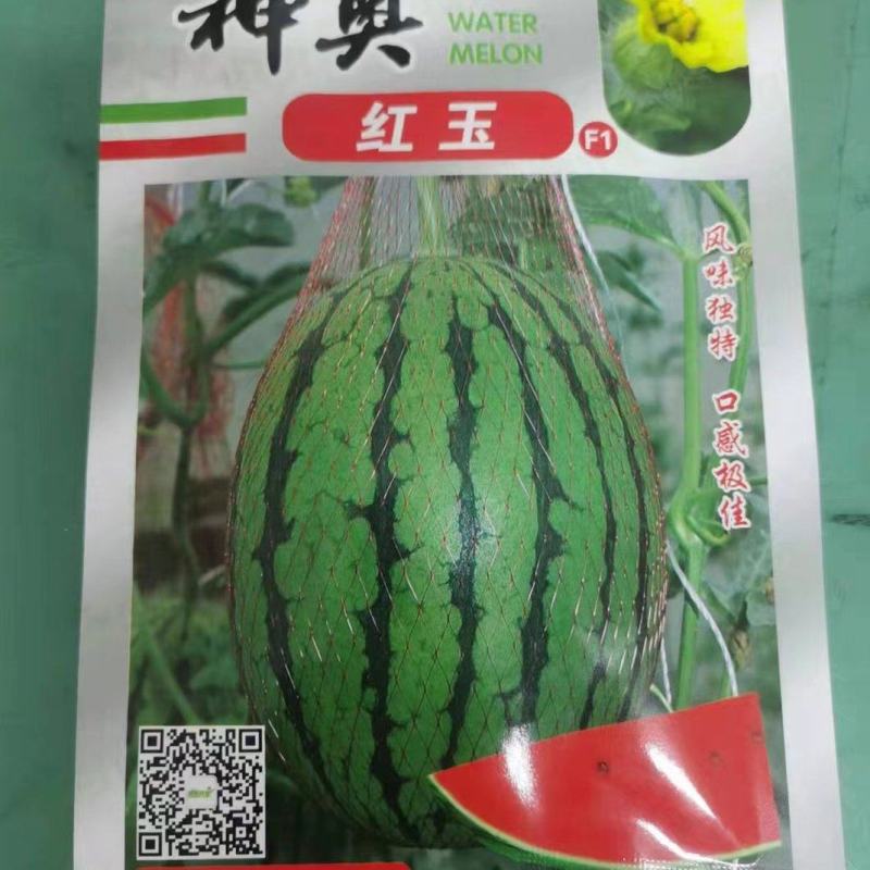 红玉礼品西瓜种子抗病抗裂含糖量高薄皮易管理耐低温高湿