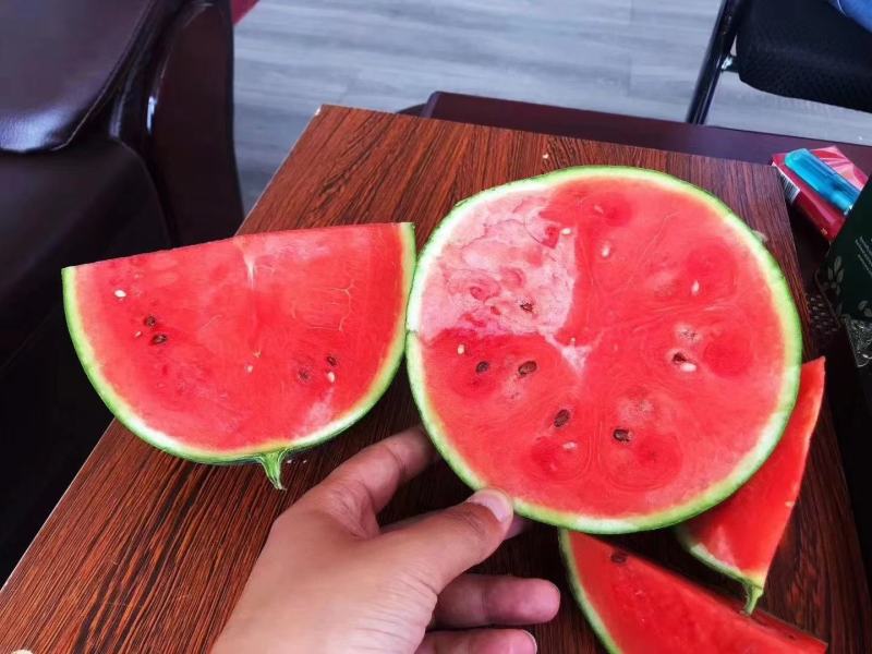 红玉礼品西瓜种子抗病抗裂含糖量高薄皮易管理耐低温高湿
