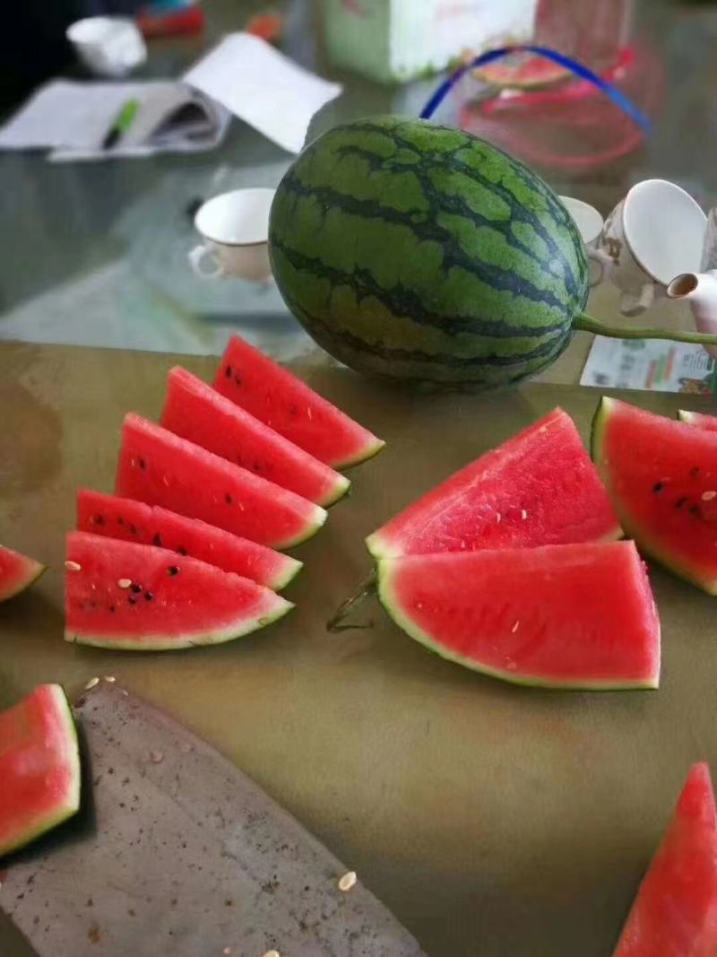 红玉礼品西瓜种子抗病抗裂含糖量高薄皮易管理耐低温高湿