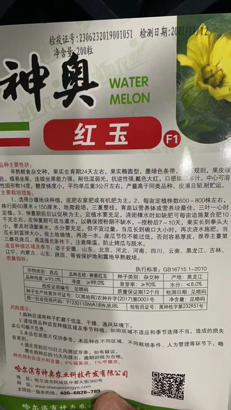 红玉礼品西瓜种子抗病抗裂含糖量高薄皮易管理耐低温高湿