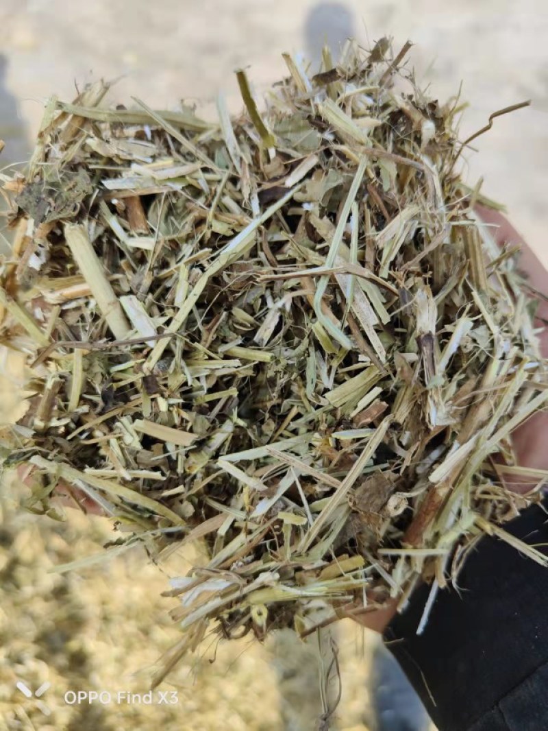 花生秧草粉，牛、羊、马、兔草料……过滚筒筛除尘