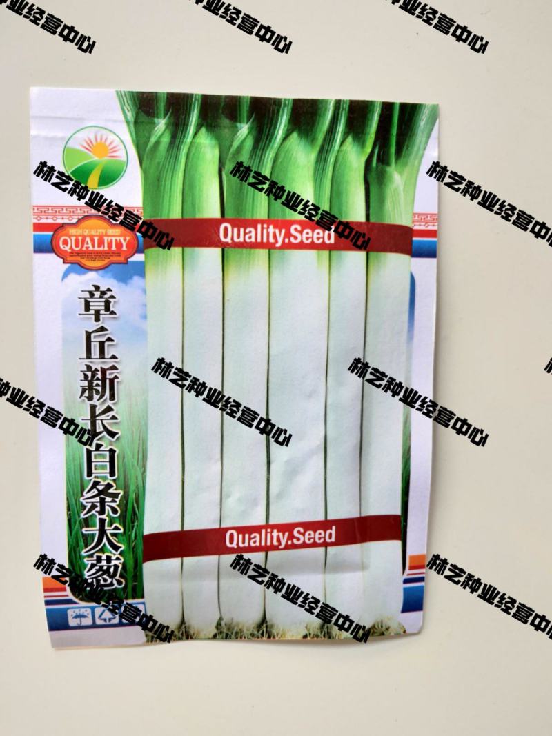 章丘长白条大葱种子高产耐寒铁杆苗蔬菜苗子种籽四季春季大葱