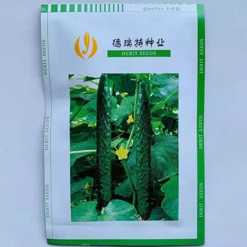 天津德瑞特博美76黄瓜种子春秋密刺青瓜耐热露地黄瓜种子