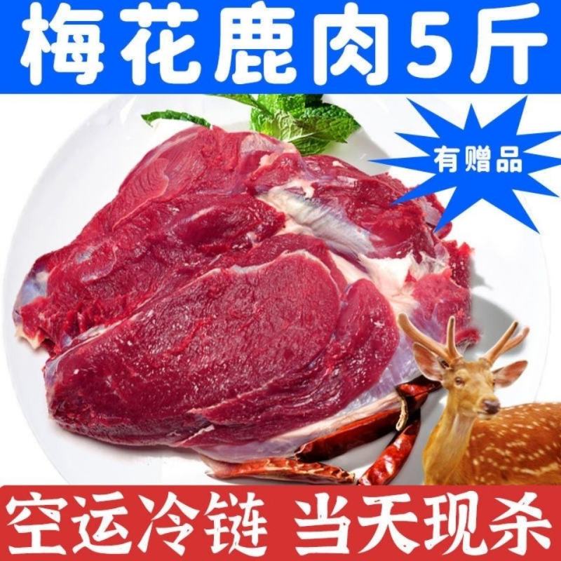 梅花新鲜鹿肉现杀鹿肉新鲜整只速冻低脂鹿场养殖鹿肉