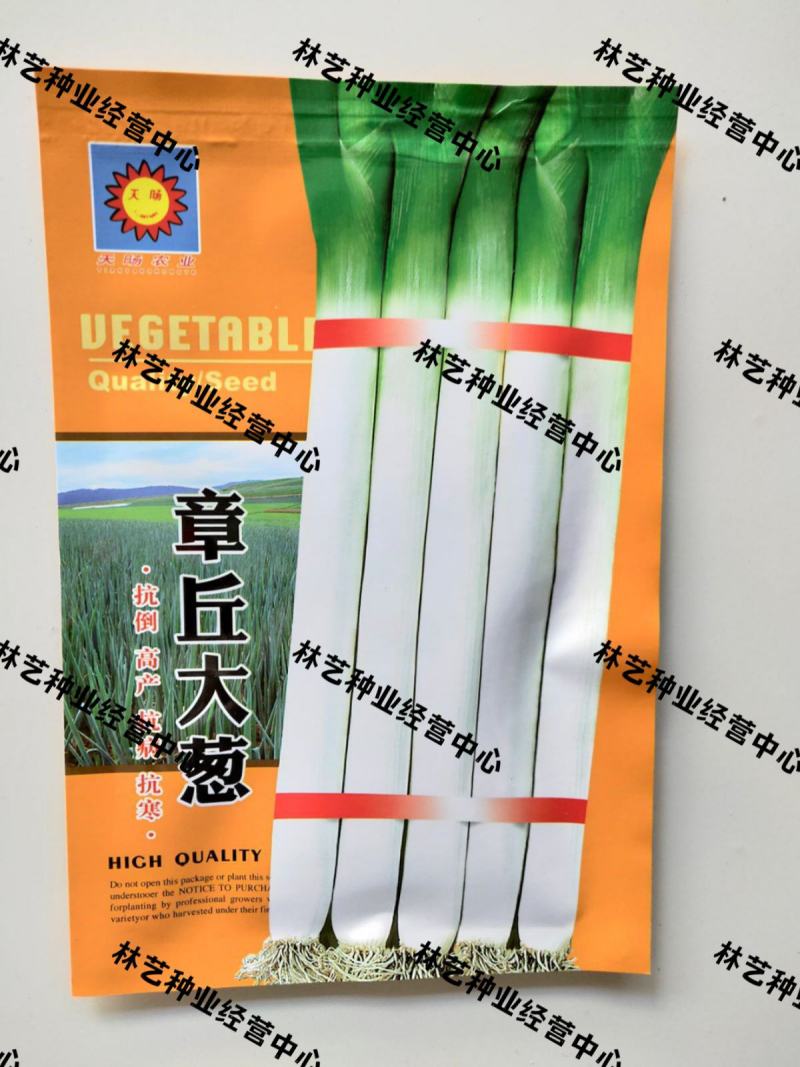 章丘大葱种子铁杆大梧桐葱种籽葱白长高产春季播蔬种子