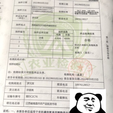 海南精品芒果小走一车江西许总大发。合作愉快