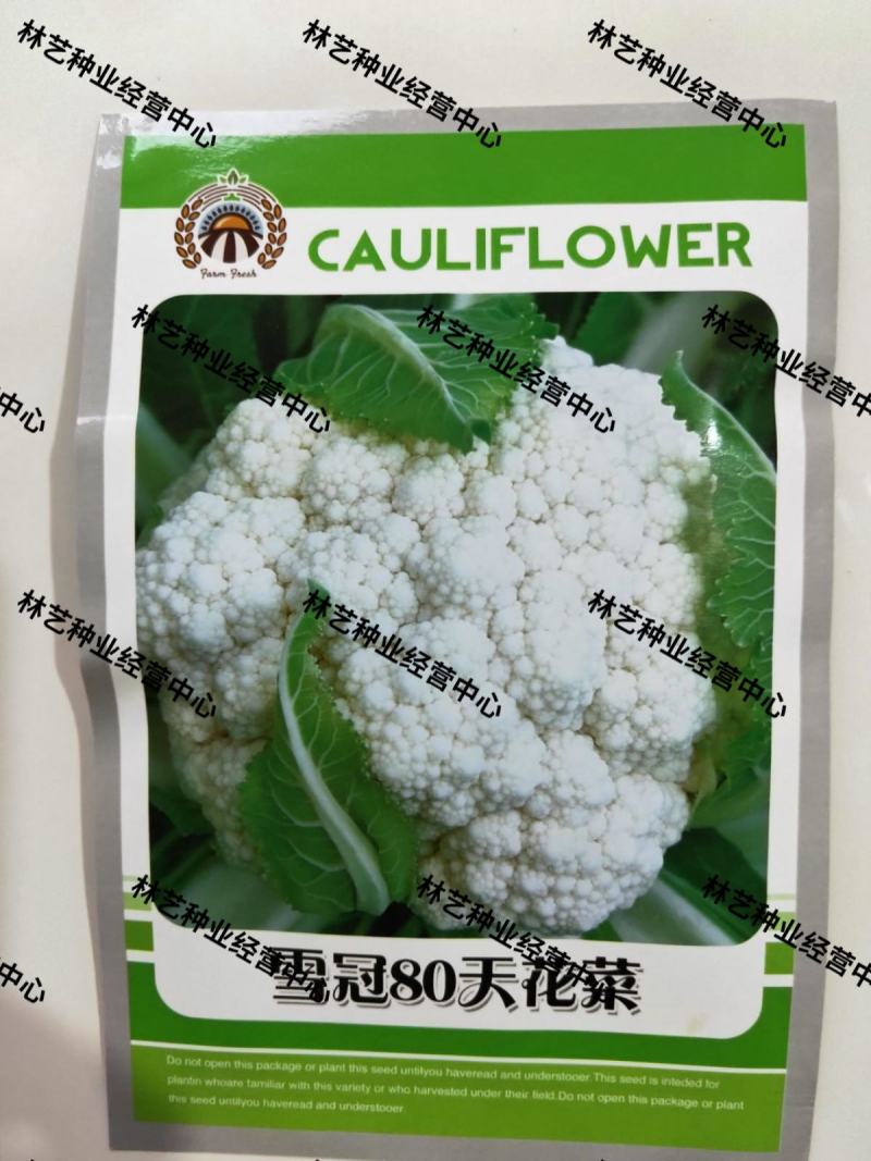 雪冠花菜种子花椰菜种子80天花菜种子抗病不易散花蔬菜种子