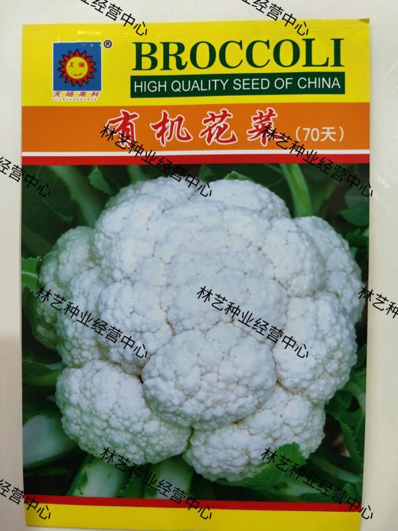 花菜种子有机花菜种子花椰菜高产耐热抗寒春夏秋三季蔬菜种孑