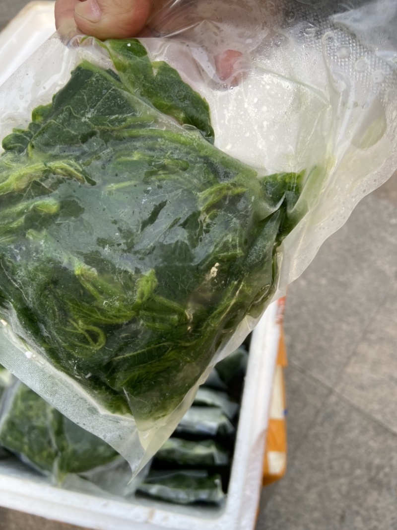 桑芽菜桑叶
