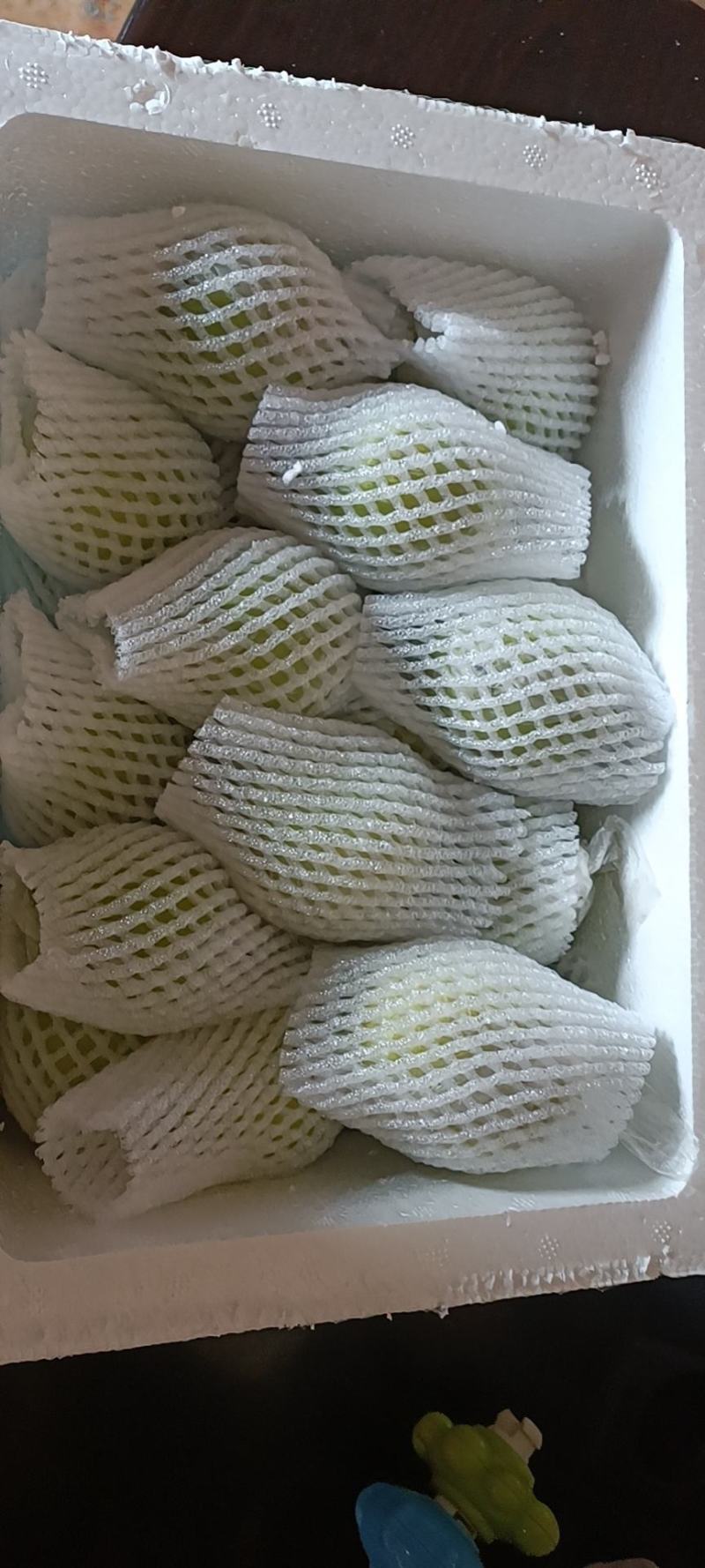 （实力供货）福建台湾牛奶枣贵妃枣大青枣鲜枣，货源充足