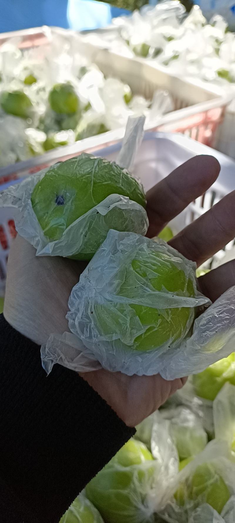 （实力供货）福建台湾牛奶枣贵妃枣大青枣鲜枣，货源充足