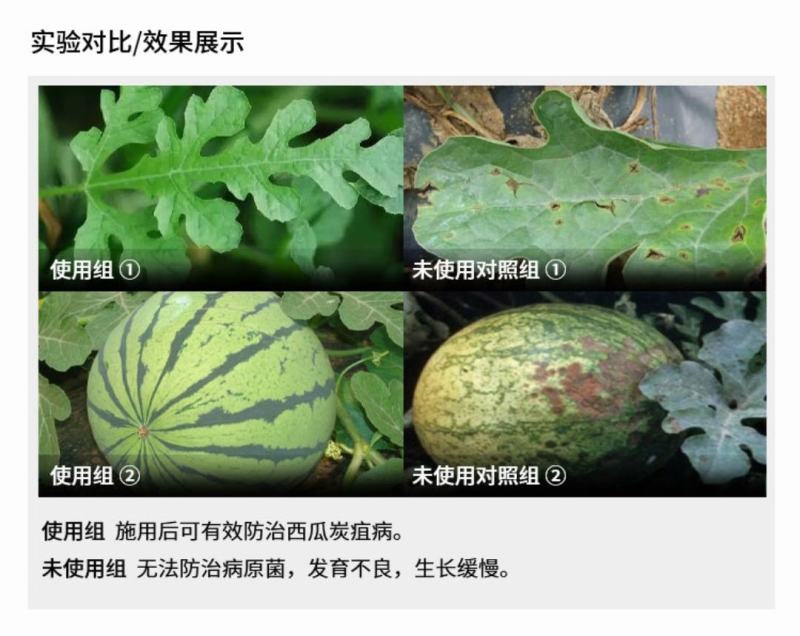 10%苯醚甲环唑10克小包杀菌彻底安全性高