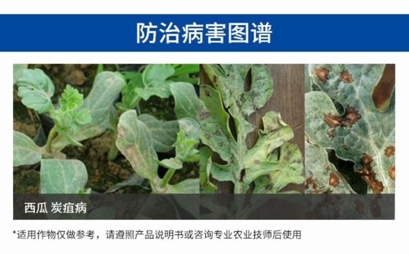 10%苯醚甲环唑10克小包杀菌彻底安全性高