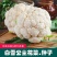 花菜种子白雪公主花菜种子农家易种植早熟洁白球紧花菜种子