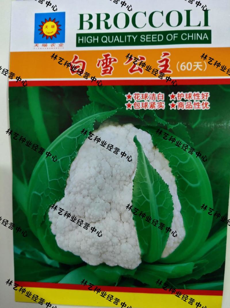 花菜种子白雪公主花菜种子农家易种植早熟洁白球紧花菜种子