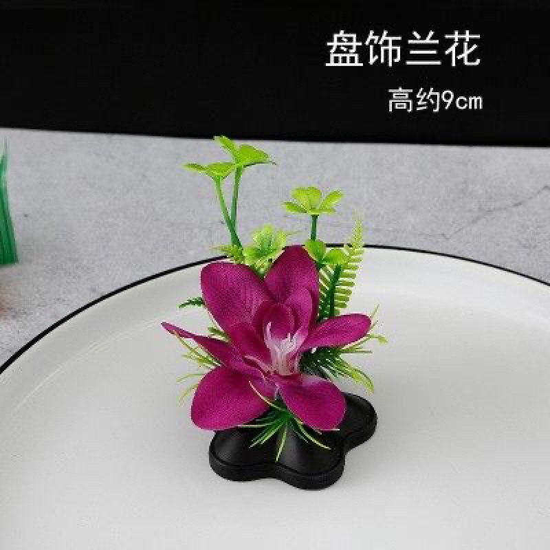 酒店专用兰花摆盘