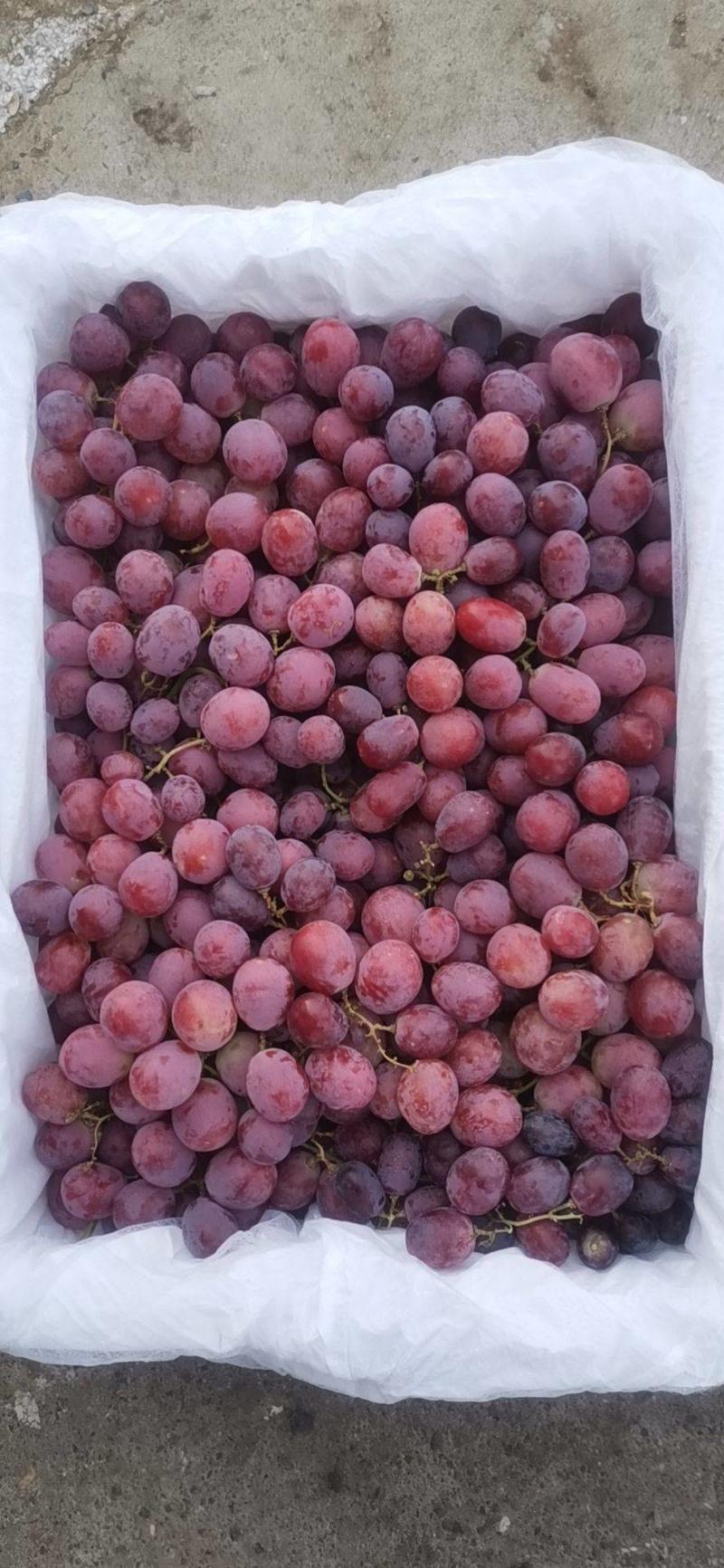 新疆葡萄品种繁多，口感甜爽，色泽鲜艳，欢迎大家多多订购
