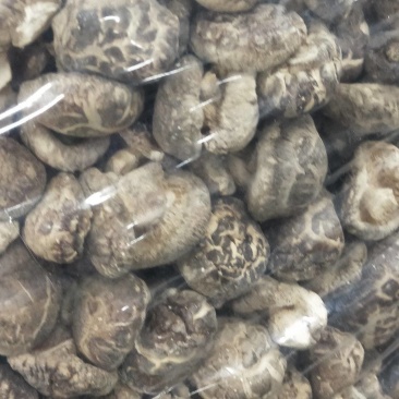 【精品】段木香菇，产地直发量大从优，本合作社产丶供对接全国
