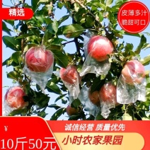 小时农家果园种植的红富士苹果皮薄多汁，脆甜可口！