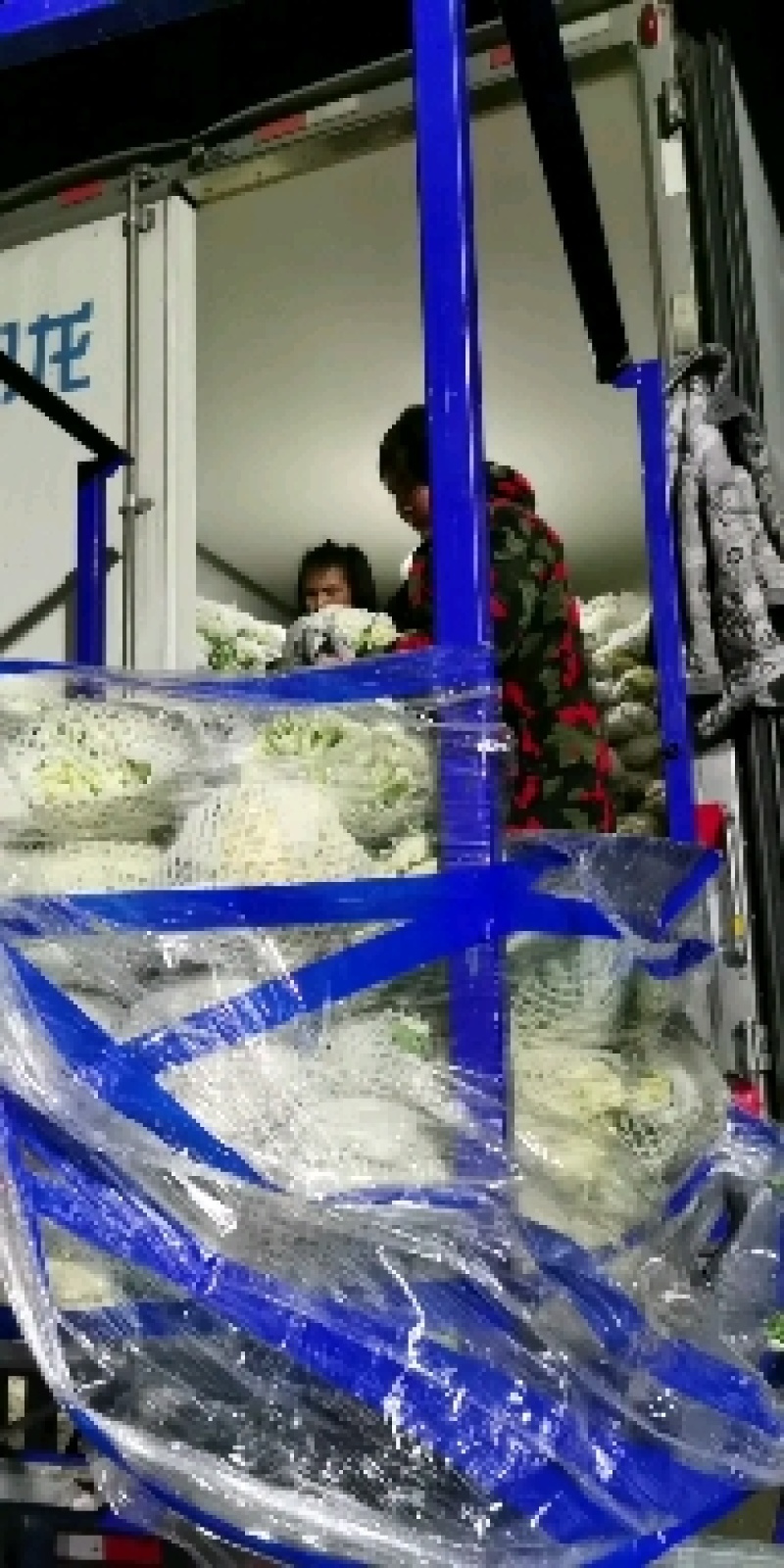 精品青梗白面有机花菜，花白根平无黑点，价格合理，全国代发