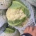 精品青梗白面有机花菜,花白根平无黑点,价格合理,全国代发
