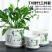 花盆陶瓷大号特大特价清仓创意绿萝吊兰塑料家用简约多肉花盆