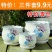花盆陶瓷大号特大特价清仓创意绿萝吊兰塑料家用简约多肉花盆