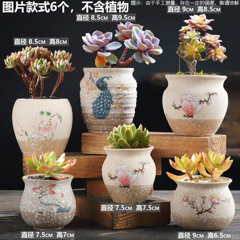 多肉花盆粗陶透气特价清仓批发老桩套装肉植物几百种随机花盆