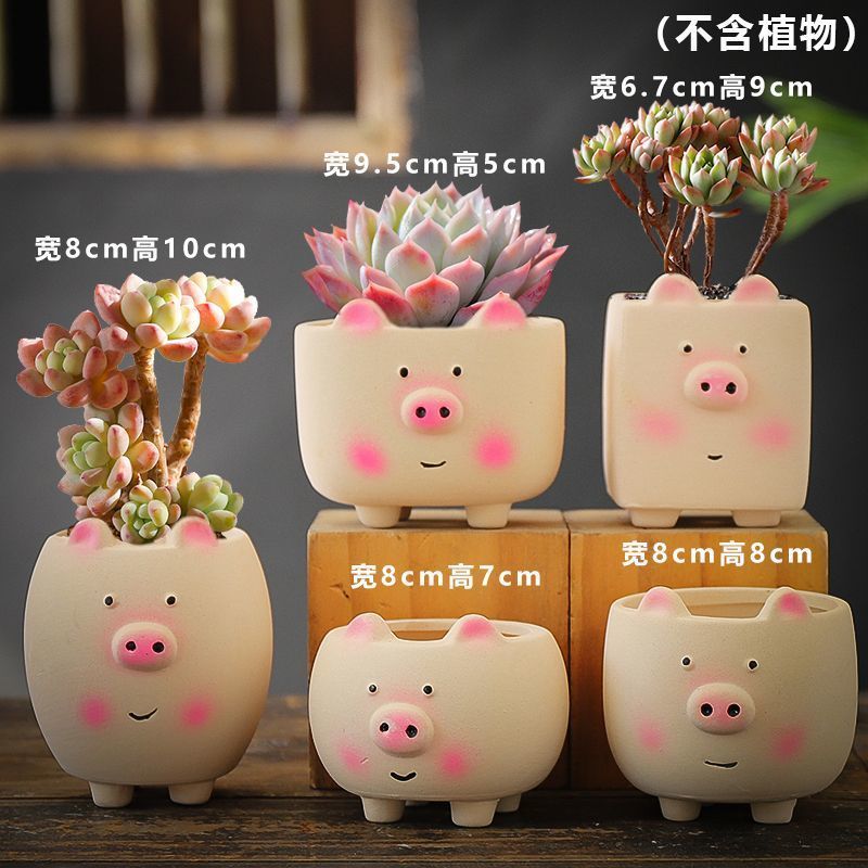 多肉花盆粗陶透气特价清仓批发老桩套装肉植物几百种随机花盆
