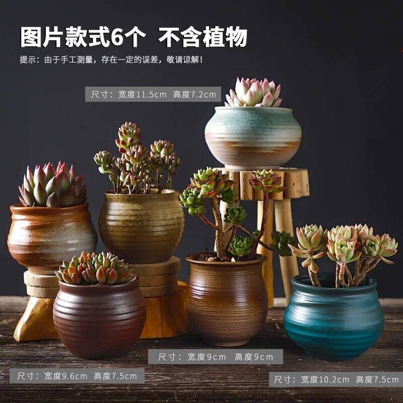 多肉花盆粗陶透气特价清仓批发老桩套装肉植物几百种随机花盆