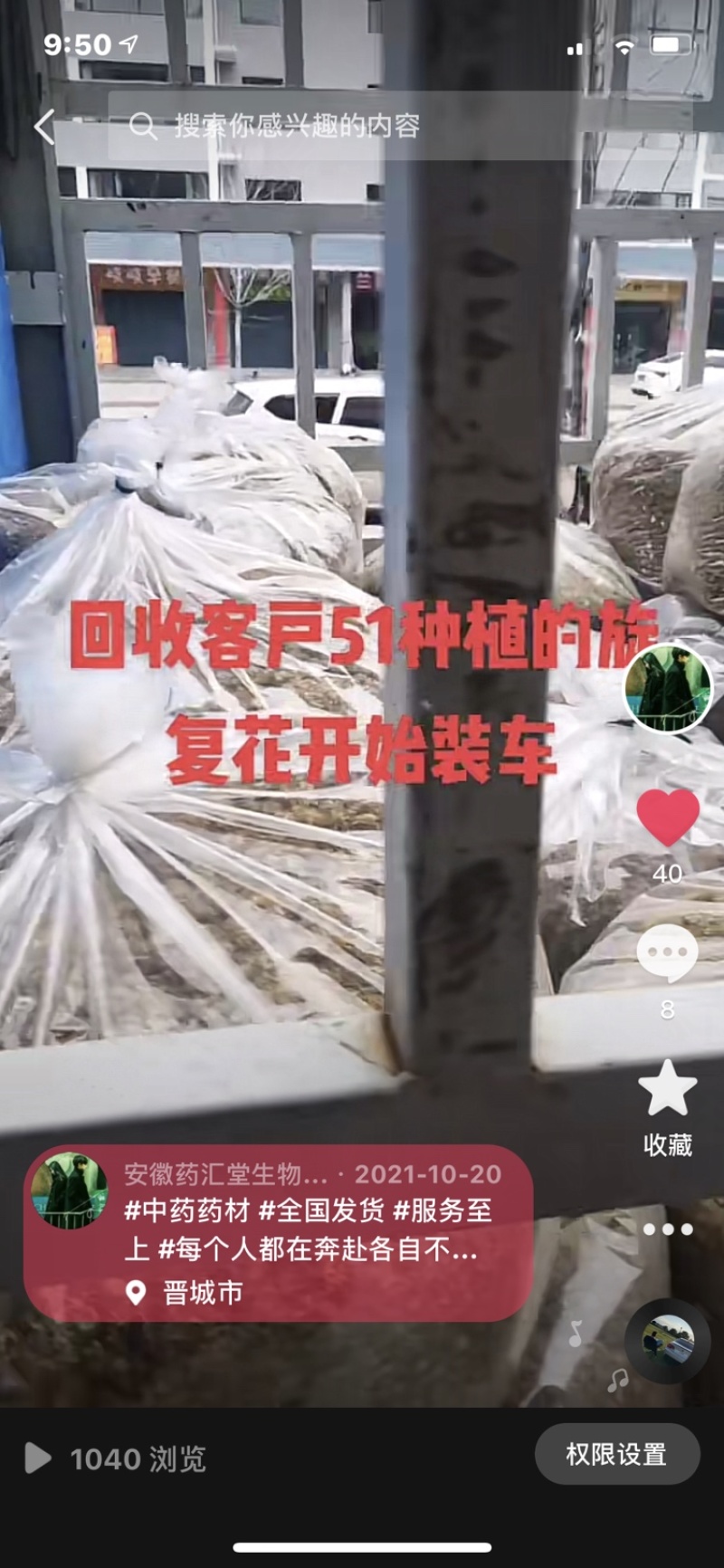 旋复花，金佛草，六月菊时间短收益高基地现挖现发，包成活，