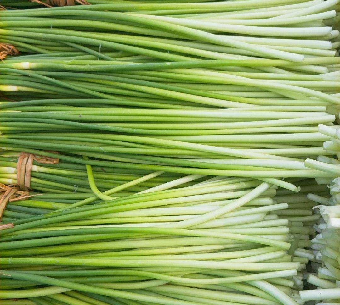 蒜薹在春季采摘,颜色翠绿,质地脆嫩 蒜薹采摘季节