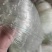 尼龙防护网果园防护网雀网鱼塘防护网