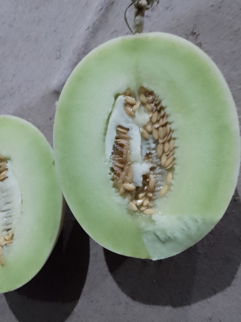 海南哈蜜，玉菇，一件代发，整车，物流，零担1000斤起。