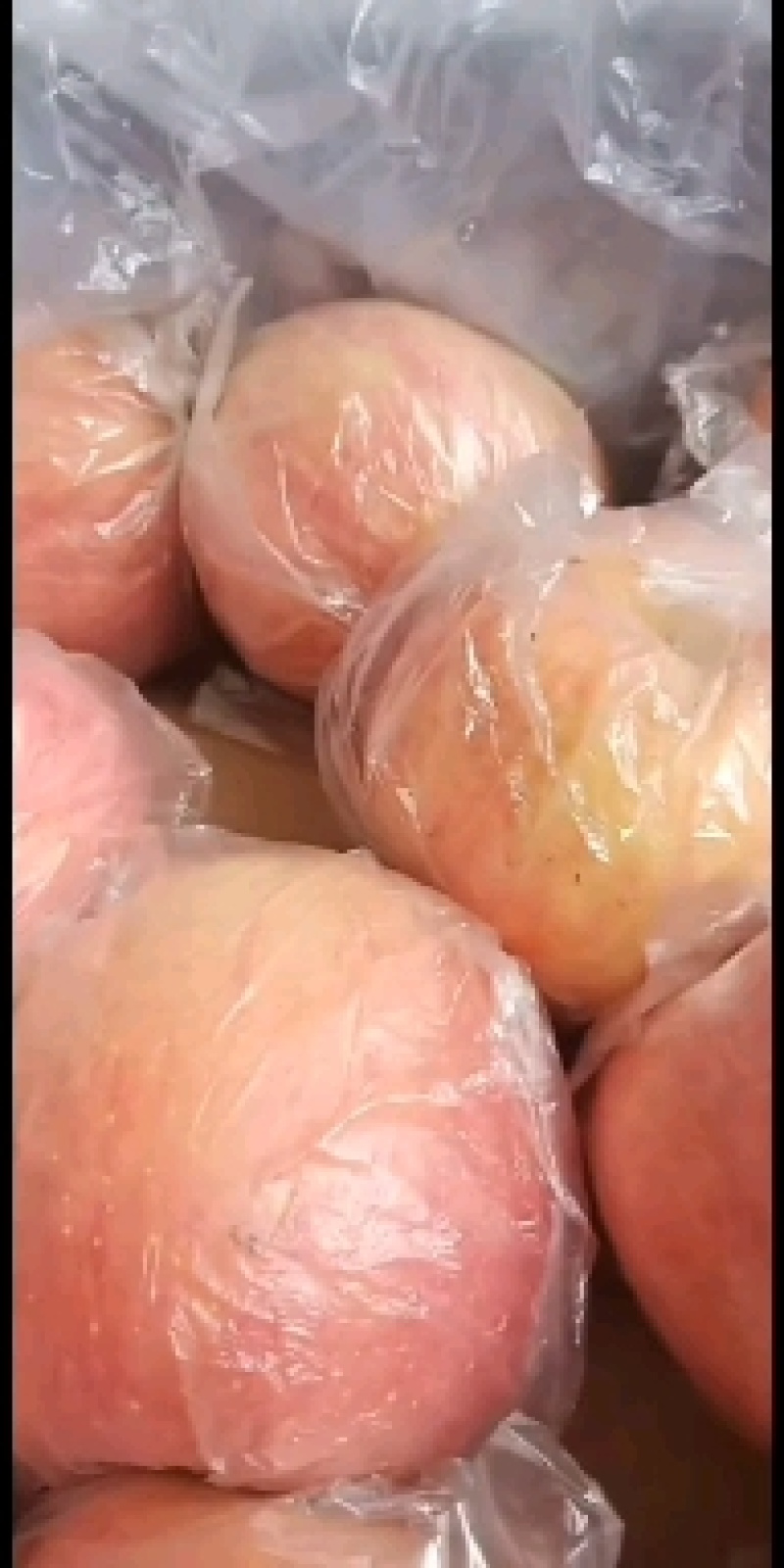 陕西精品膜袋，纸加膜袋红富士苹果产地价格批发
