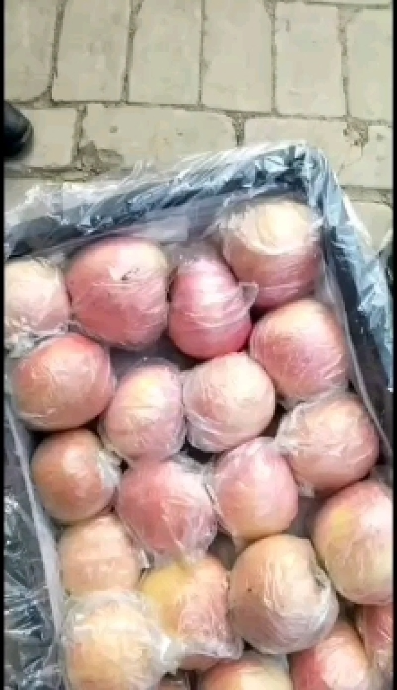 陕西精品膜袋，纸加膜袋红富士苹果产地价格批发