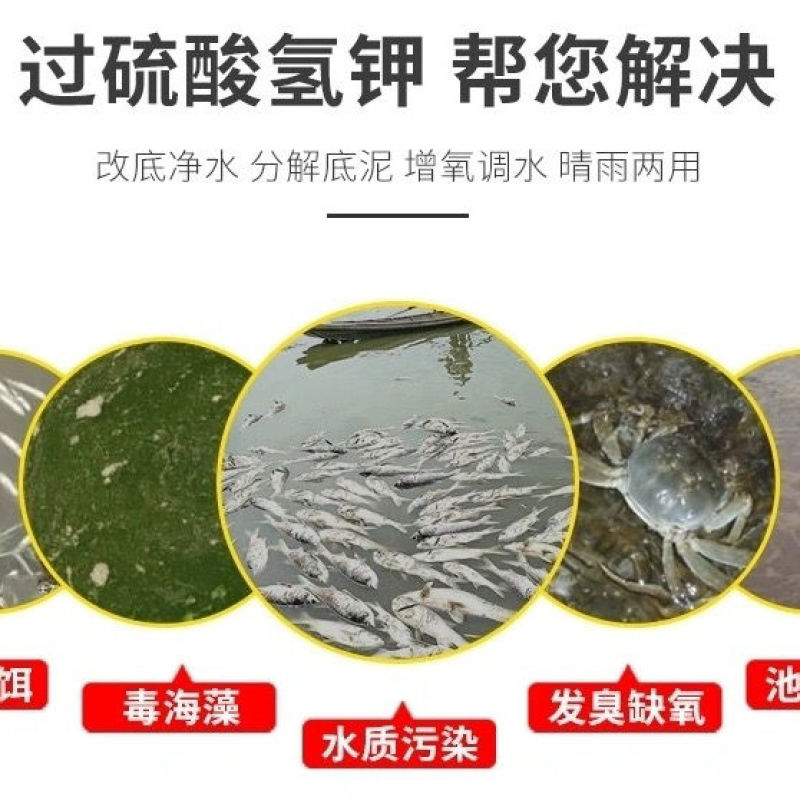 通威底改水产养殖改底除臭净水杀菌底好过硫改底2斤一件代发
