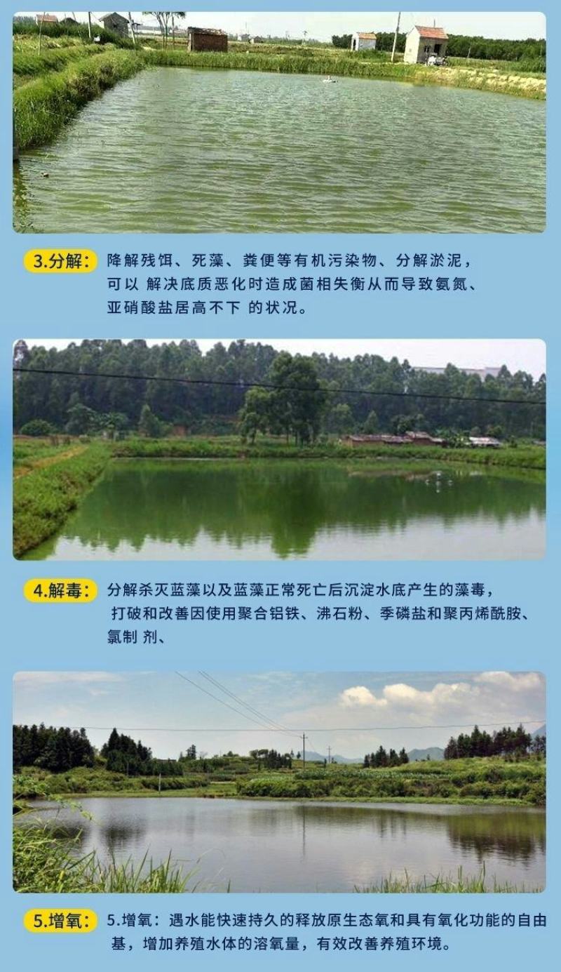 通威底改水产养殖改底除臭净水杀菌底好过硫改底2斤一件代发