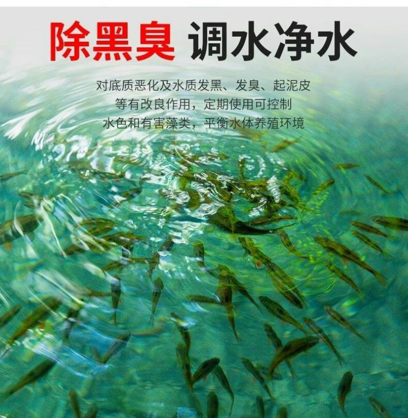 通威底改水产养殖改底除臭净水杀菌底好过硫改底2斤一件代发