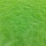 园林绿化种植台湾草大叶油草马尼拉兰引三号草皮