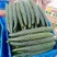 （黄瓜）电商.加工厂.市场.超市.常年大吨位供应