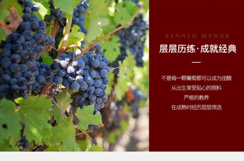 法国进口红酒整箱赤霞珠干红甜葡萄酒750ml