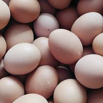 鸡蛋，4.35每斤