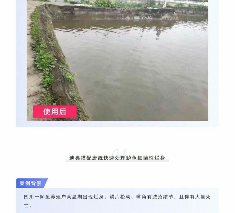 拜耳速补100水产虾蟹蜕壳素硬壳抗应激补充微量矿物元素1