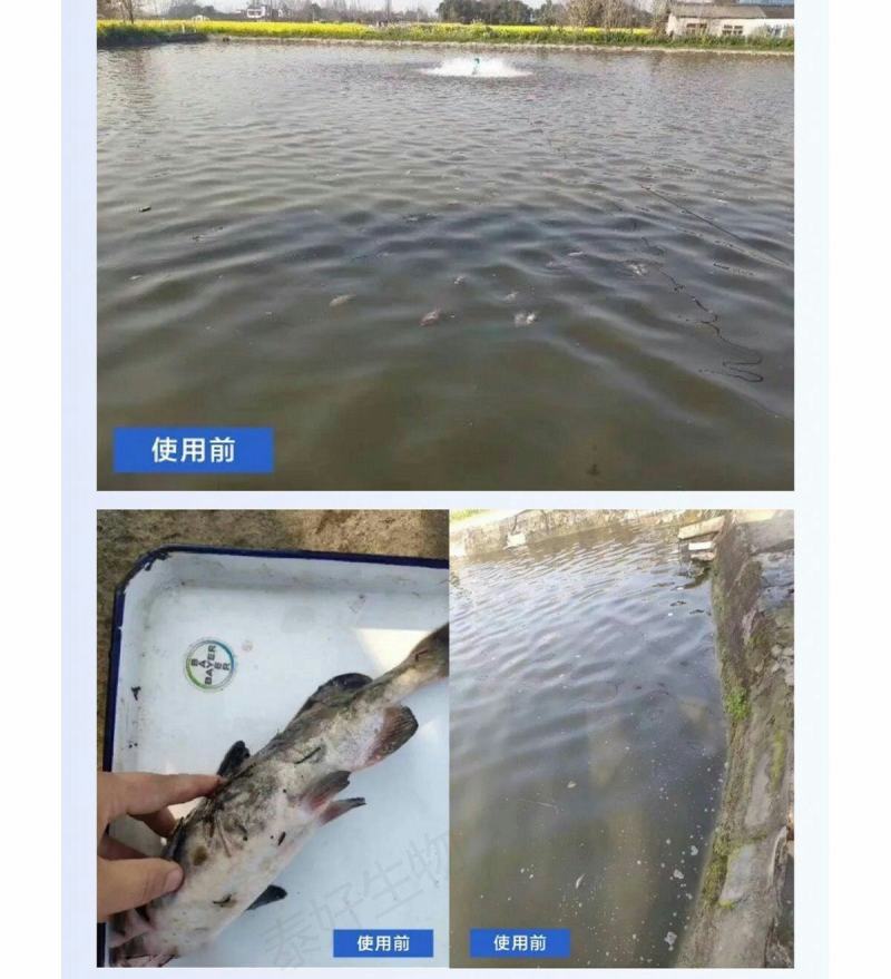 拜耳速补100水产虾蟹蜕壳素硬壳抗应激补充微量矿物元素1
