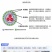 拜耳速补100水产虾蟹蜕壳素硬壳抗应激补充微量矿物元素1
