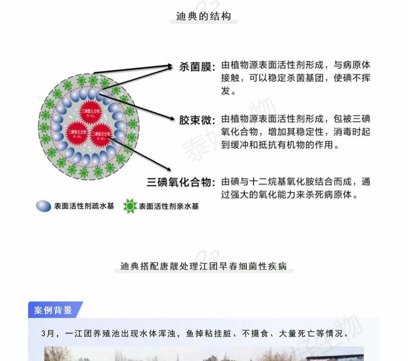 拜耳速补100水产虾蟹蜕壳素硬壳抗应激补充微量矿物元素1